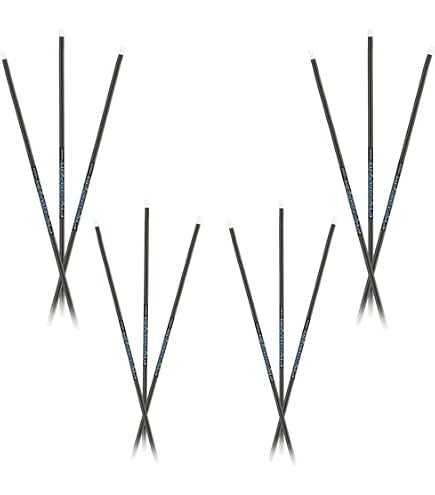 Amazon.com : Easton X10 Shafts 1 Doz. Black, 500 : Sports & Outdoors
