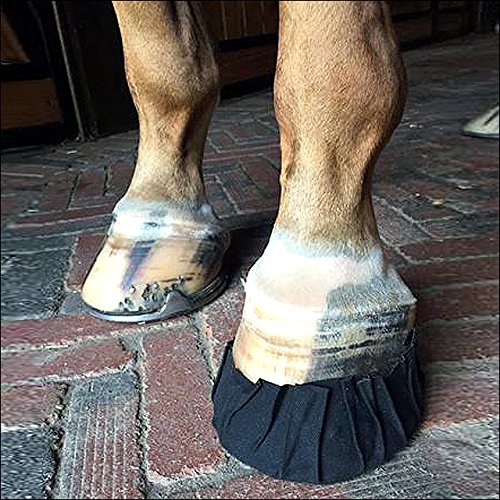 EQUIFIT PACK N STICK HORSE LEG HOOF HOOVE PACKING TAPE 6 PACK
