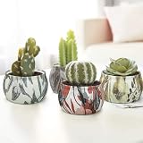 Yinuo Mirror Scented Candles Gift Set 4.4 oz Soy Wax Tin 4 Pack view 5