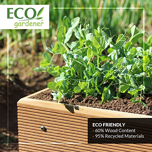 ECOgardener Premium Raised Bed Garden Planter Box 2' x 4' â€“ The Most Beautiful Elevated Planter That Will not Crack, Split, warp or Break. Easy Setup and Maintenance Free Design.