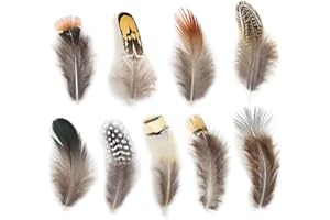 BALLINGER 180pcs 9 Styled Natural Feathers Assorted Mixed Feathers for Jewelry and Dream Catcher Crafts