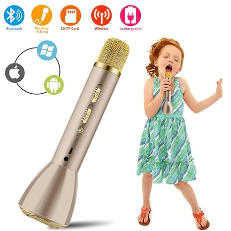 karaoke mike with speaker