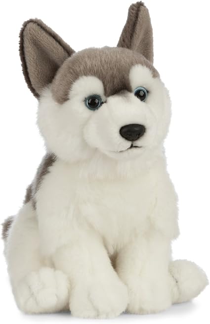 husky teddy amazon