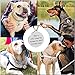 Beirui ESA Dog ID Tag - Personalized Engrave Stainless Steel Dog ID Tags Switch to Collars and Vest - Custom Pet ID 1.2