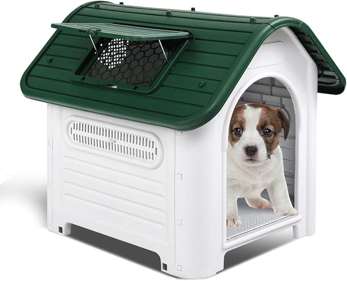 dog carrier for 30lb dog