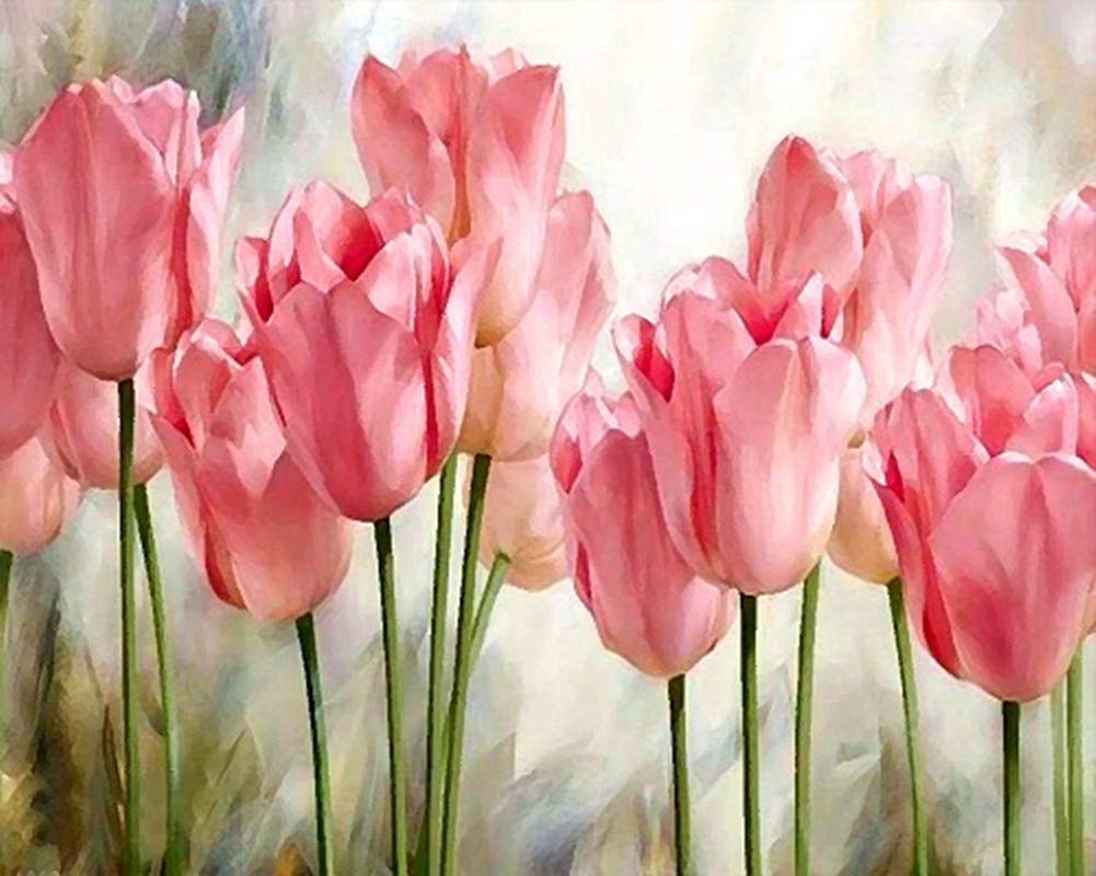 WOWDECOR Paint by Numbers Kits for Adults Kids, DIY Oil Painting - Beautiful Pink Tulip Flowers 16x20 inch (Frameless)
