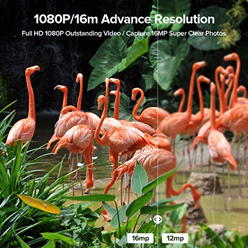 1 Hunting+120%25C2%25B0Wide+Angle+Waterproof+Wildlife+Monitoring