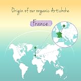 Vegavero Organic Artichoke 40,000 mg High Strength Extract 120 Caps view 4