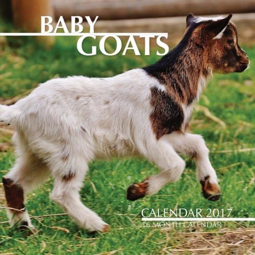 Baby Goats Calendar 2017: 16 Month Calendar Paperback – October 5, 2016