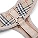 Soft Mesh Dog Harness Cat Harness No Pull Comfort Padded Vest for Puppy or Cat