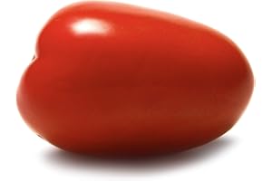 Plum Roma Tomato