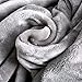 Luxury Collection Microplush Flannel Fleece Blanket | Ultra Soft 380 GSM Lightweight All-Season Anti-Static Throw/Blanket for Sofa Couch Bed (Queen (78'' x 90''), Gray)