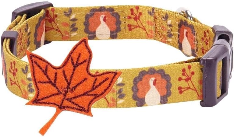 Blueberry Pet 8 Patterns Thanksgiving 