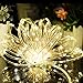 Lalapao Rope Lights Solar Xmas String Lights 2 Pack 120 LED Christmas Copper Fairy Decor Lighting with 8 Modes for Tree Outdoor Indoor Garden Patio Holiday Bedroom Wedding (Warm White)
