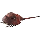 Folkmanis Horsehoe Crab Hand Puppet