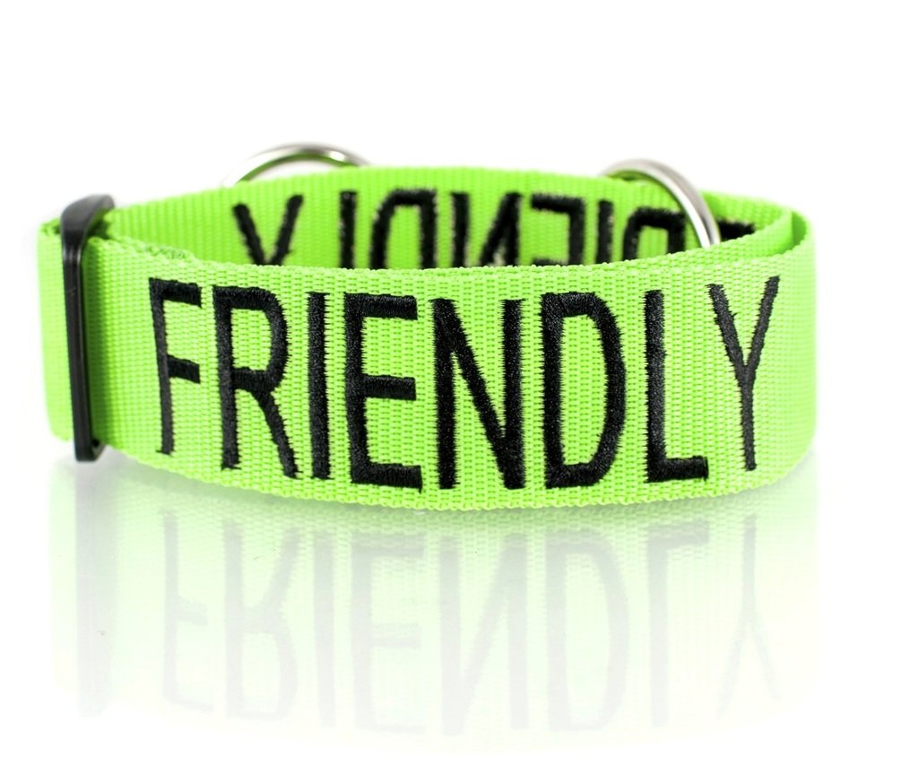 Dexil FRIENDLY (Known as Friendly to all) Green Colour Coded Wide L-XXL Semi-Check Dog Collar PREVENTS Accidents By Warning Others Of Your Dog In Advance — image 1