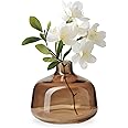 Torre & Tagus Belle Mouth Blown Art Glass Vase for Flowers - 4" Tall Clear Light Brown Colorful Vase, Handmade Small Brown Vase for Home Decor, Brown Bud Vase as Decorative Shelf Decor or Wedding