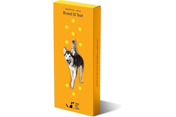 DNA MY DOG Essential + Wolf Breed ID Test– Trusted & Affordable Breed + Wolf Test | 350+ Breeds Identified w/ 99%+ Accuracy |