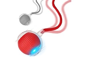 Goosheep 2025 New 2Pack Cat Ball Kitten Toys for Indoor Interactive Kitty Ball Toy Speedy Tail 360° Automatic Rolling(Red Grey)