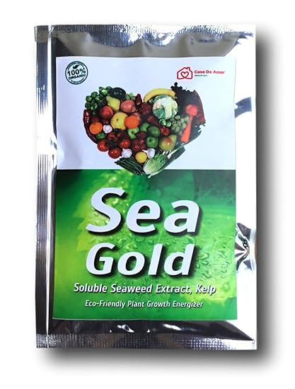 Casa De Amor Organic Seaweed Extract (100 gm, Brown)