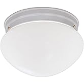 DESIGNERS FOUNTAIN 2-Lights Flush Mount Ceiling Light, 9 Inch Lighting Fixture for Kitchen, Bedroom, Bathroom, and Hallway, F