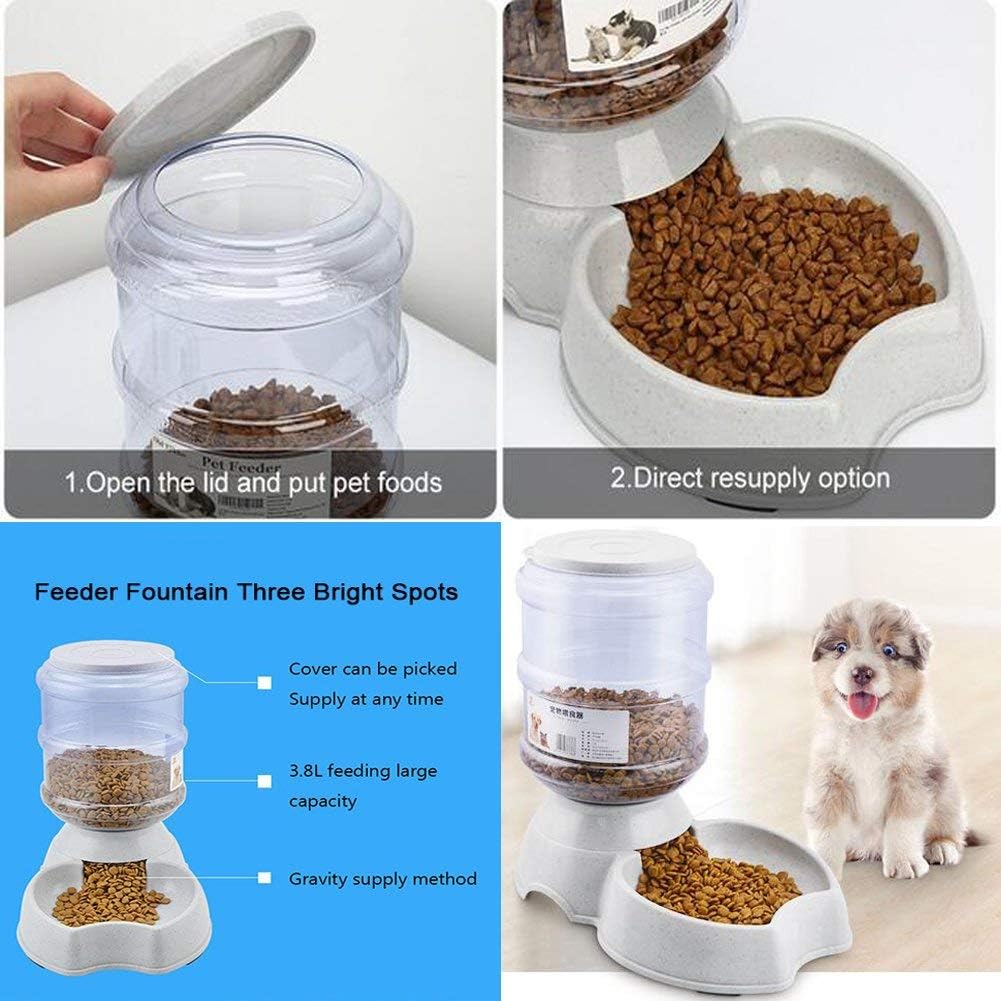Pet Supplies : Blessed family Cat Water Fountain, Automatic Cat Feeder, Dog Water Dispenser, 1 Gal Pet Automatic Feeder Waterer (Waterer+Feeder) : 