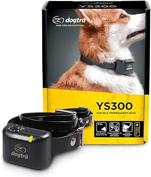 dog training no barking