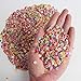 SBYURE 10000 Pieces Tiny Fruit Slime Charms Cute Set Charms for Slime Assorted Fruits for Arts Crafts,Ornament Scrapbooking DIY Crafts ( Apple Banana Strawberry Blueberry Watermelon Melon