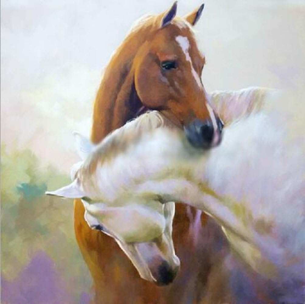boashna 5D Diamond Painting Kits for Adults Full Drill,12x16 Inches