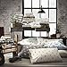 Eddie Bauer - Queen Sheets, Cotton Flannel Bedding Set, Brushed For Extra Softness, Cozy Home Decor (School of Fish, Queen)