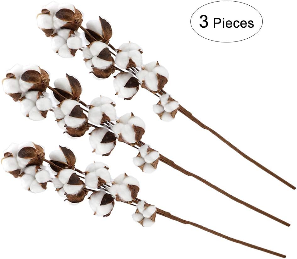 3Pcs Dried Cotton Flower Natural Cotton Stems Kapok Dried Flower Cotton Boll Wreath Stem
