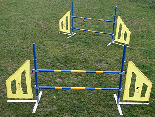 agility hurdle set