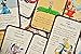 Steve Jackson Games, Munchkin Dragons - Comedic Fantasy Adventure RPG Card Game Expansion - for 3 to 6 Players, Ages 10+