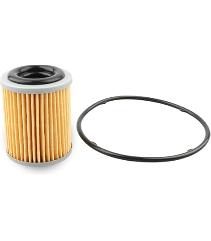 No.8 Jordan 8 Retro Low Dark Cinder (W) - 317251-261 Raffles