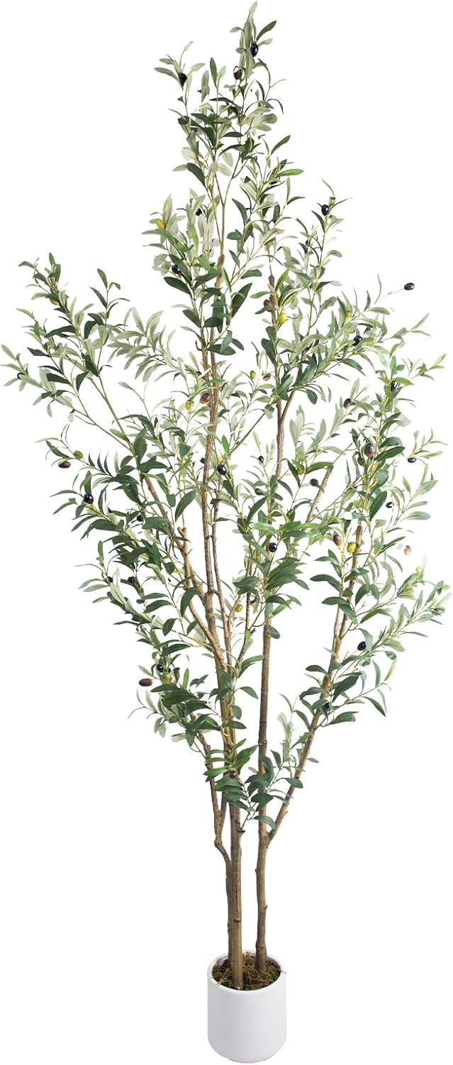 Photo 1 of MCTYBB Artificial Fake Olive Tree 7FT Tall 1Pack with White Planter Faux Silk Olive Tree for Home Living Room Office Decor Faux Artificial Plants Indoor with Fruit & Free Moss