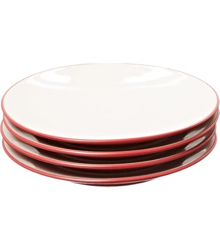 Amazon.com | Noritake Mi Amor Dinner Plate: Dinner Plates
