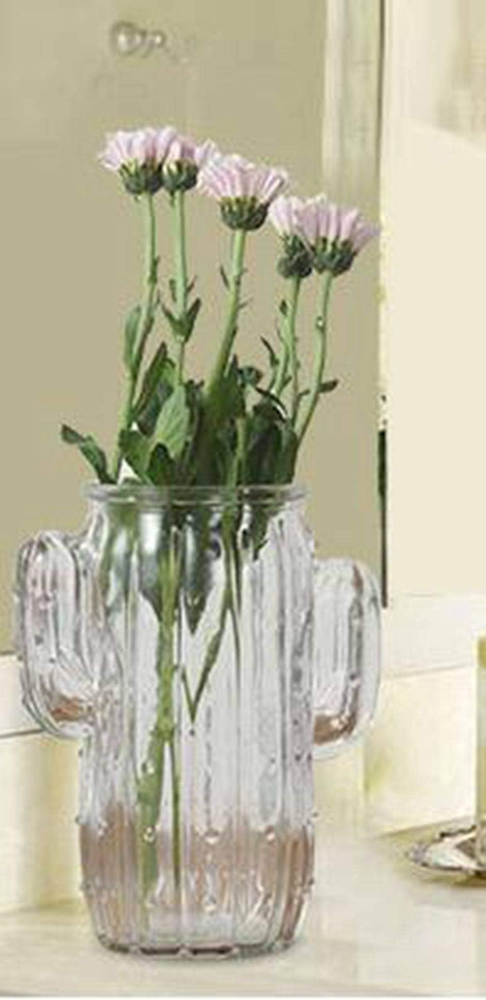 LIPN Fresh small vases, color vases, glass vases, household ornaments, hydroponic flower arrangers