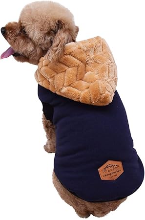 ozone therapy for dogs near me