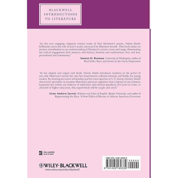 Amazon.com: James Baldwin and Toni Morrison: Comparative Critical