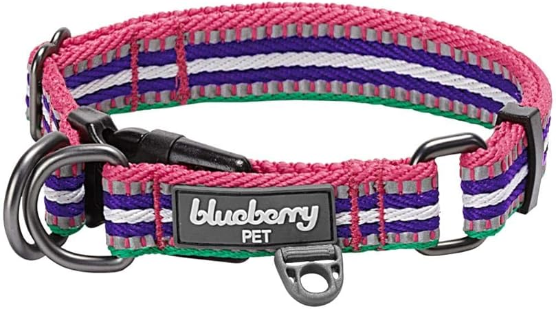 blueberry pet collars amazon