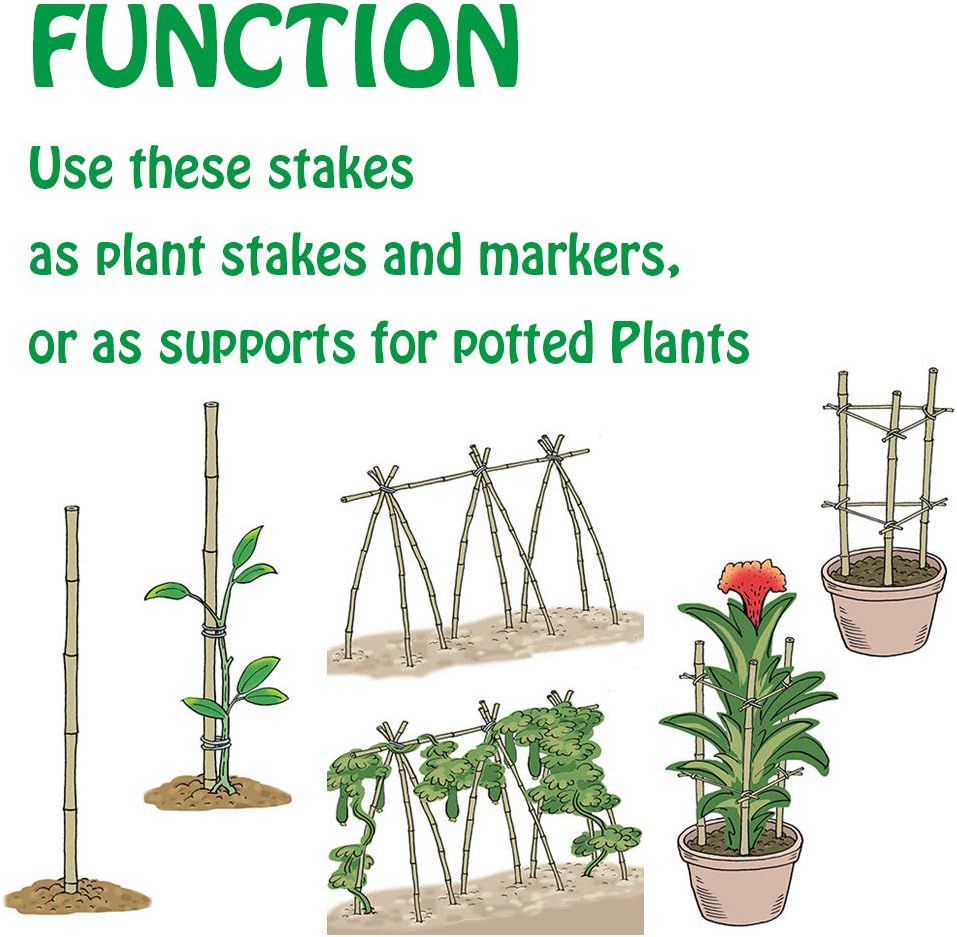 pic Bamboo Sticks For Plant Support Online India mininfa natural bamboo stakes 5 feet