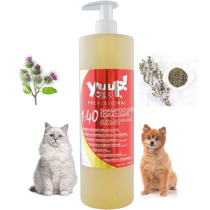degreasing cat shampoo