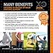 XO KINETICS - Premium Lower Back Lumbar Support Belt Brace with Copper Infused Nylon- Best for Sport or Work Related Low Back Pain - Comfortable Lightweight Design for Both Men & Women.