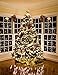 Novelty Lights 50 Feet 100 Bulbs Traditional Incandescent Mini Lights, Clear on Green Wire with 6