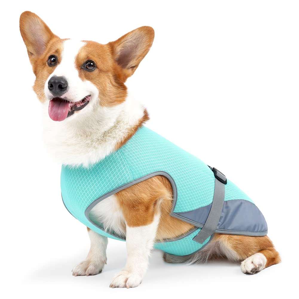 Boerni Blue Dog Cooling Vest, Mesh Ice Vest Harness, Medium, 52-64cm/20-25inch, 9-15kg, Summer Sun-Proof, Adjustable Strap