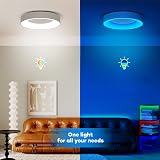 Matane 24W RGB LED Ceiling Light with Remote 3000K-6500K 2400LM 11 Inch view 5