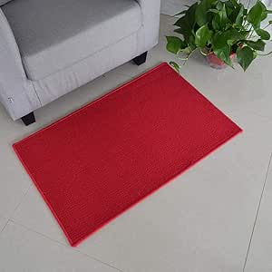 ZINSALE Alfombra De Entrada, Alfombra De Entrada, Hall De Entrada