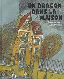 Un  dragon dans la maison