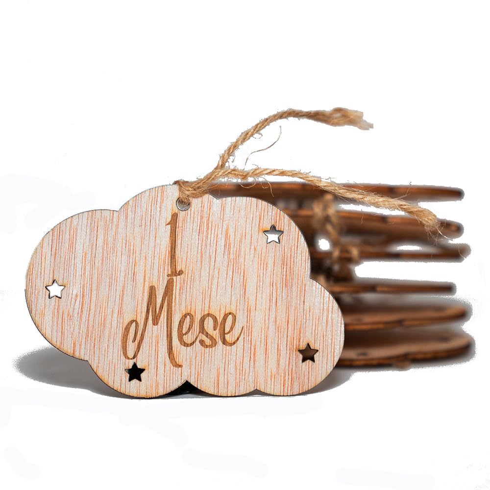 B. BachVibes - Emblemi per Bambini in Legno - Set con 14 dischi mensili - Ideale per foto di neonati e Regalo per Baby Shower (Italian)