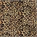 Hydrographics Film - Water Transfer Printing - Hydro Dipping -Tan Cheetah- 1 Meter
